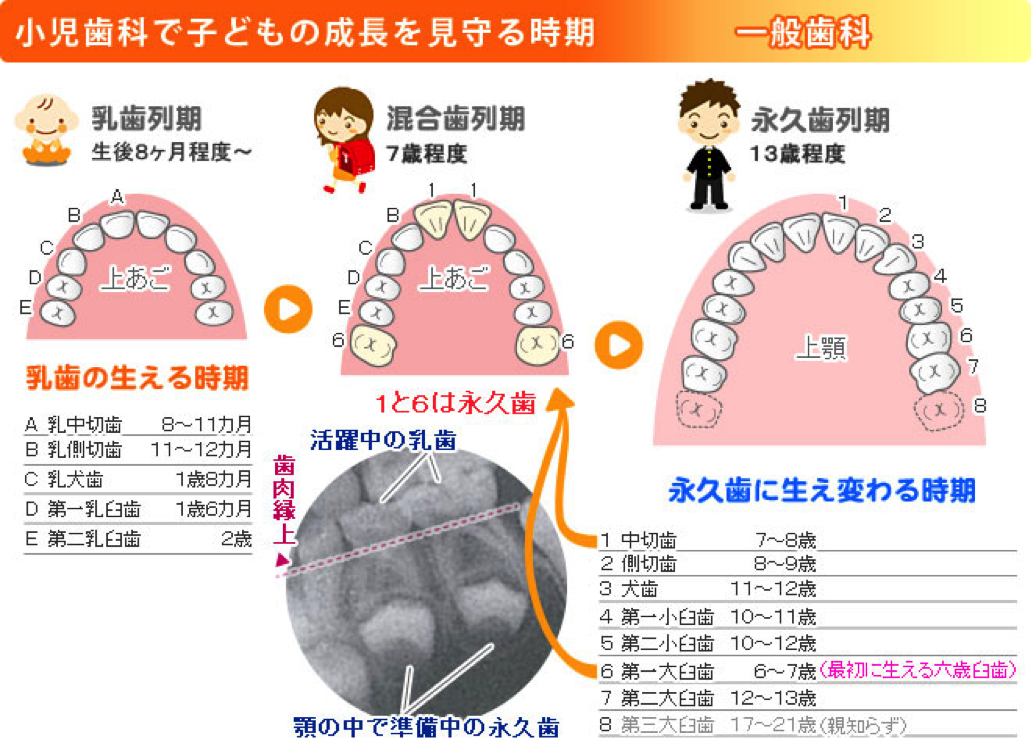 三鷹 こども 歯科