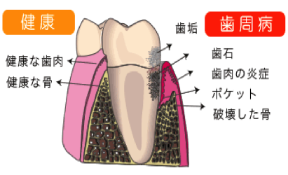 ふなこし歯科医院